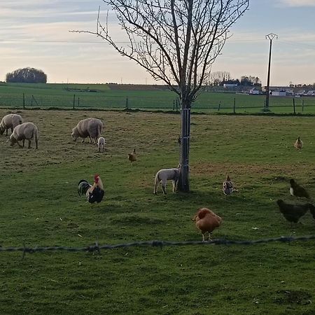Gite Des 3 Marcassins Preaux Buitenkant foto